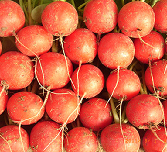 �t��ʹ-�}���N��-�|���N�I(y��)