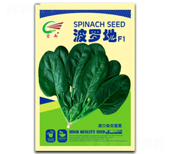 ���_��-���˷N��-����