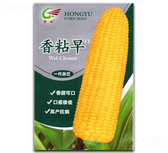 香粘早-糯玉米種子-宏雨