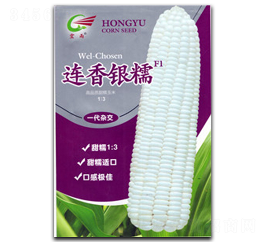 連香銀糯-糯玉米種子-宏雨