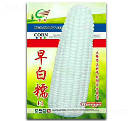 ���Ŵ-Ŵ���׷N��-����