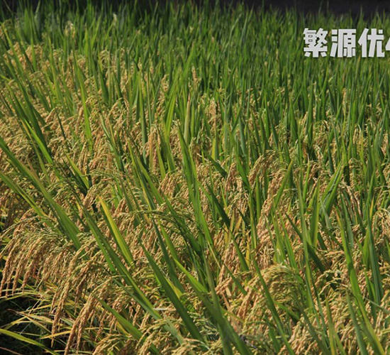 ��Դ��(y��u)460-ˮ���N��-���N�I(y��)