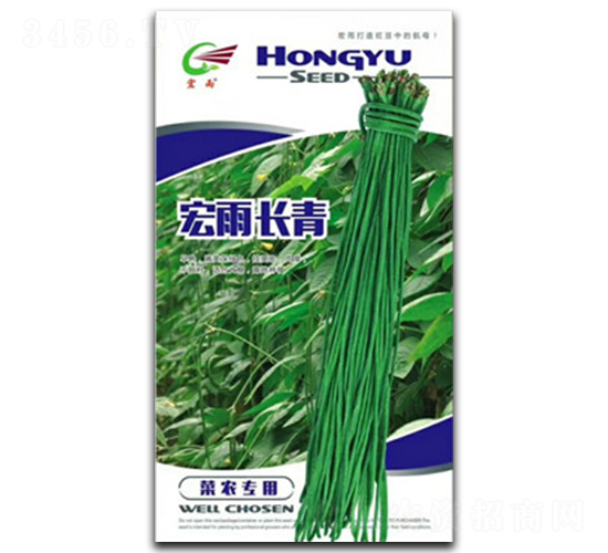 宏雨長青-豇豆種子-宏雨