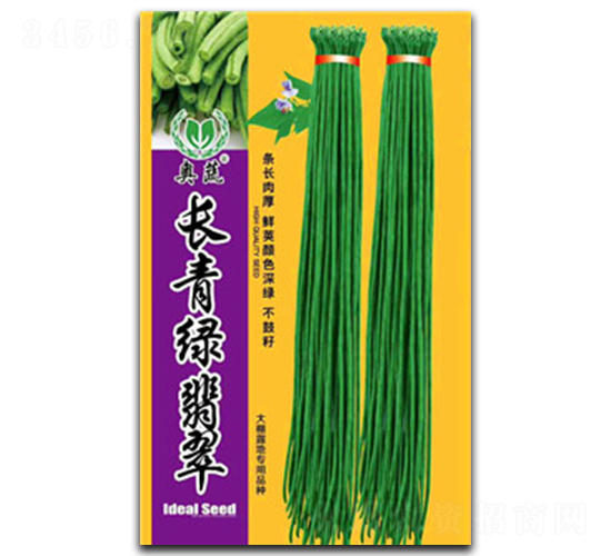 �L��v���-�����N��-����