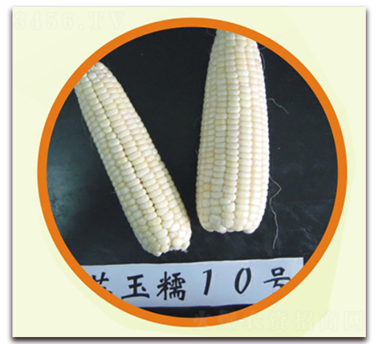 �K��Ŵ10̖(h��o)-Ŵ���׷N��-�к̷N�I(y��)