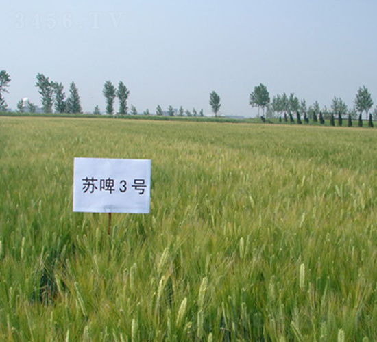 �Kơ3̖(h��o)-�����N��-�к̷N�I(y��)