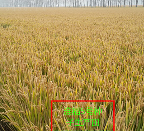 ����5̖-ˮ���N��-�к̷N�I(y��)