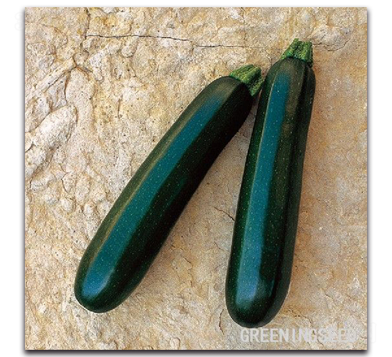 ����-�����J�N��-����