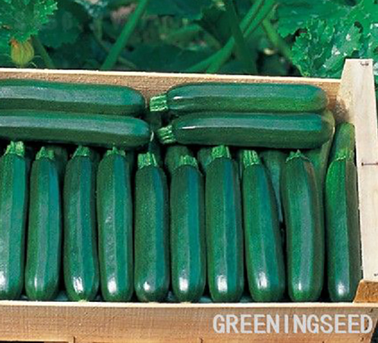 ī����-�����J�N��-����