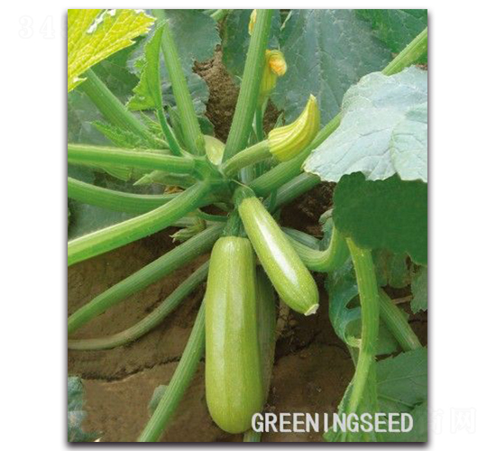 ����-�����J�N��-����