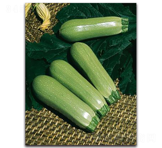 ����-�����J�N��-����