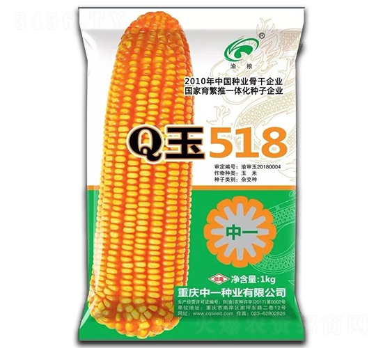 Q玉518-玉米種子-中一種業(yè)