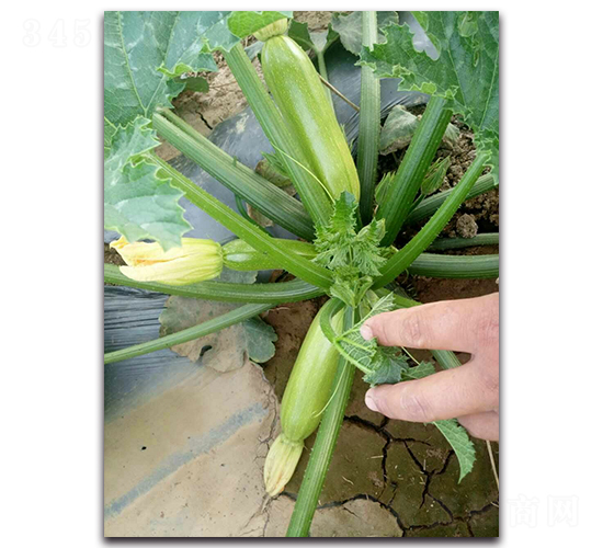 ���G2̖(h��o)-�����������J�N��-�r(n��ng)���r(n��ng)�I(y��)