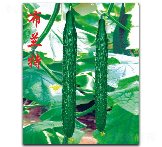 ���m��-�S�ϷN��-�r(n��ng)���r(n��ng)�I(y��)