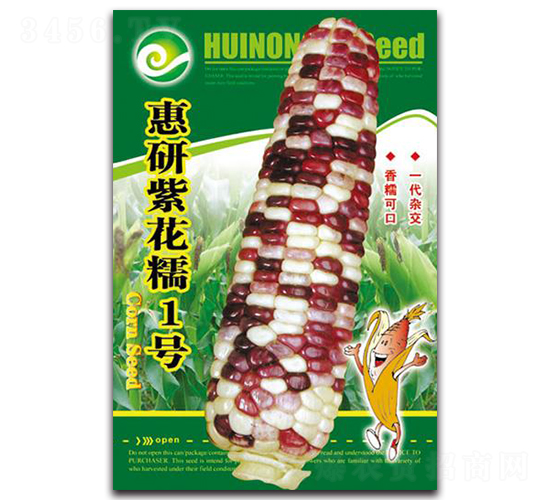 惠研紫花糯1號-糯玉米種子-中創(chuàng)智豐