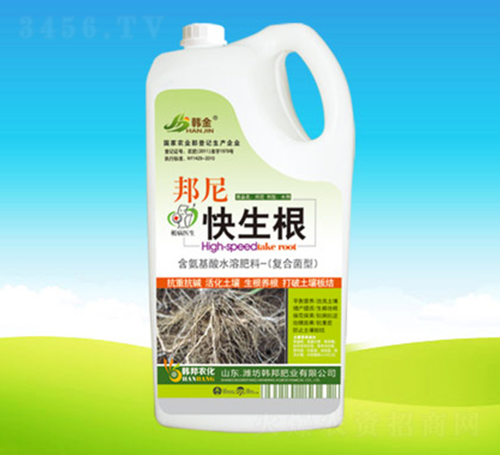 ���������-�n��ʘI(y��)