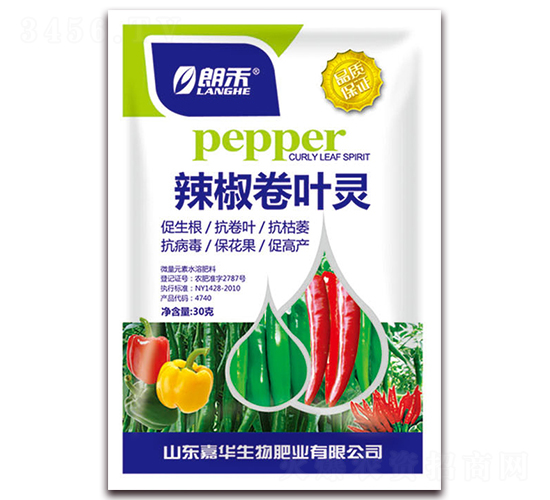 �������~�`-�ʺ�-���A����