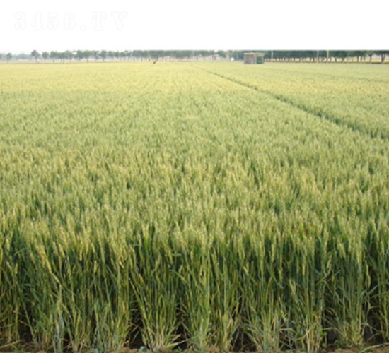 ����22-С���N��-�����r(n��ng)�I(y��)