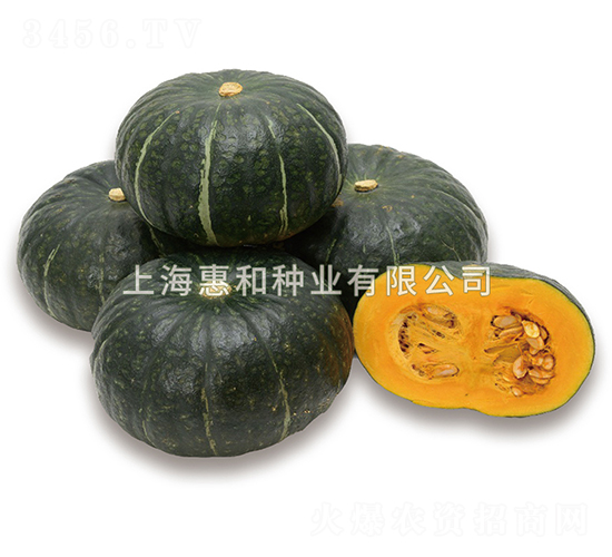 味佳-南瓜種子-惠和種業(yè)