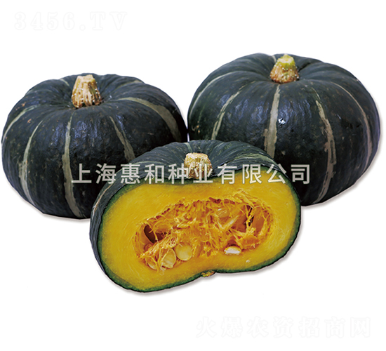 ؐؐ��̖(h��o)-�ϹϷN��-�ݺͷN�I(y��)