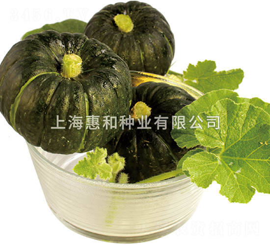 ؐؐ-�ϹϷN��-�ݺͷN�I(y��)