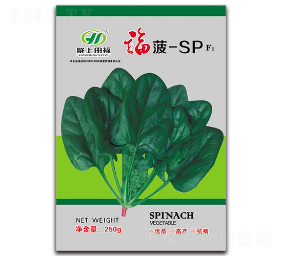 福菠-SP-菠菜種子-田福農(nóng)業(yè)