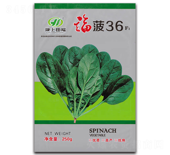 福菠36-菠菜種子-田福農(nóng)業(yè)