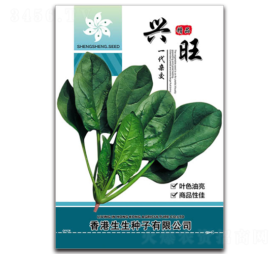 興旺-菠菜種子-田福農(nóng)業(yè)