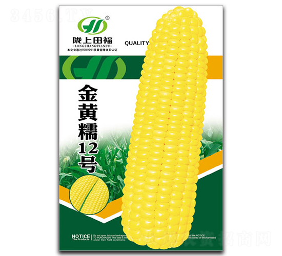 ���SŴ12̖(h��o)-���׷N��-�︣�r(n��ng)�I(y��)