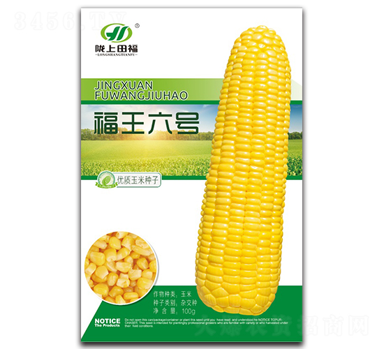 福王6號-玉米種子-田福農業(yè)