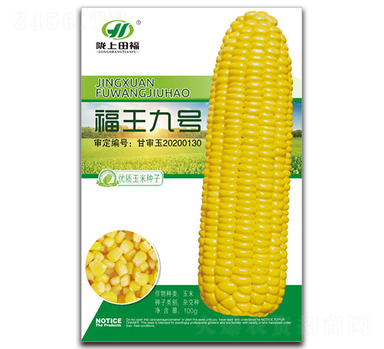 ����9̖-���׷N��-�︣�r(n��ng)�I(y��)