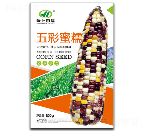 五彩蜜糯-玉米種子-田福農(nóng)業(yè)