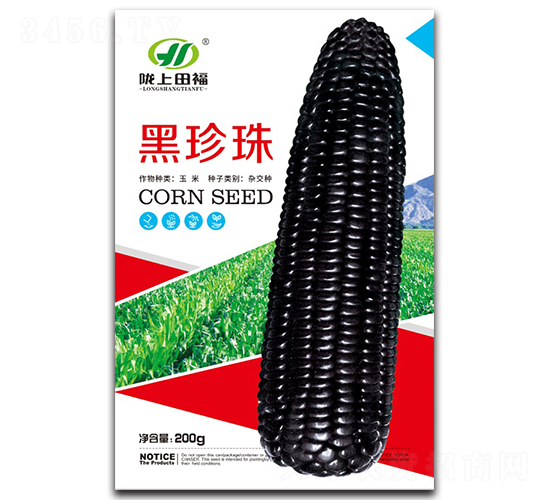 黑珍珠-玉米種子-田福農(nóng)業(yè)