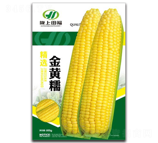 金黃糯-玉米種子-田福農(nóng)業(yè)