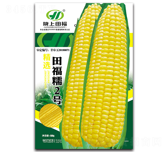 田福糯2號-玉米種子-田福農(nóng)業(yè)