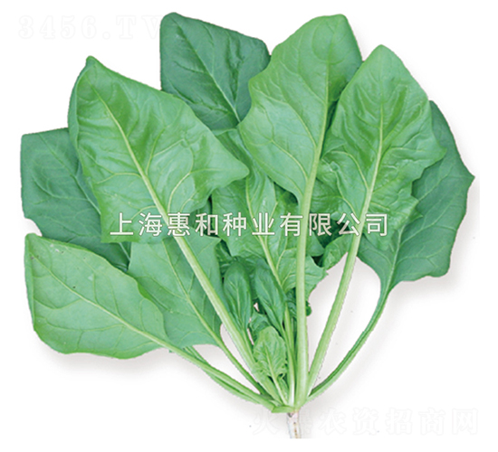 �r�G��̖(h��o)-���˷N��-�ݺͷN�I(y��)