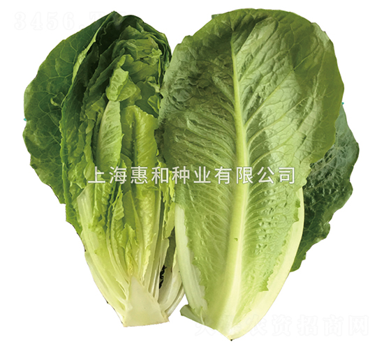 �G��-���˷N��-�ݺͷN�I(y��)