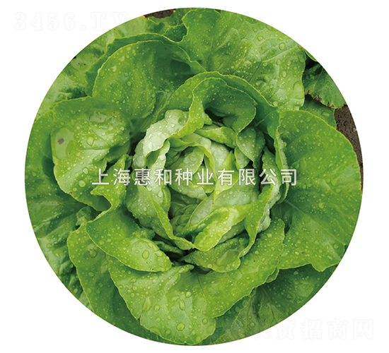 �Gõ��-���˷N��-�ݺͷN�I(y��)