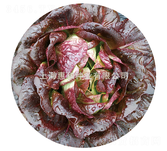 �ϵ�-���˷N��-�ݺͷN�I(y��)