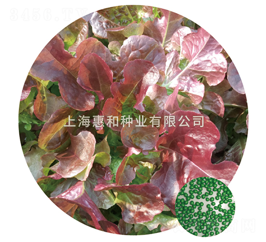 �����~-���˷N��-�ݺͷN�I(y��)