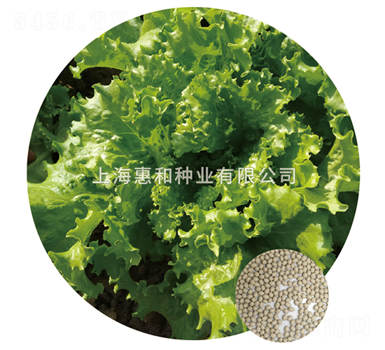 ������ȹ-���˷N��-�ݺͷN�I(y��)