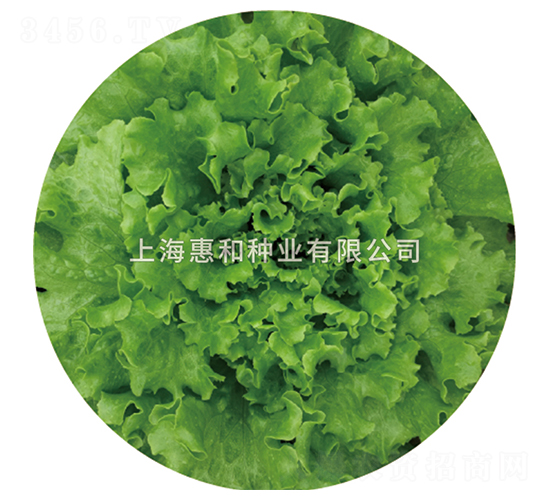 ����-���˷N��-�ݺͷN�I(y��)