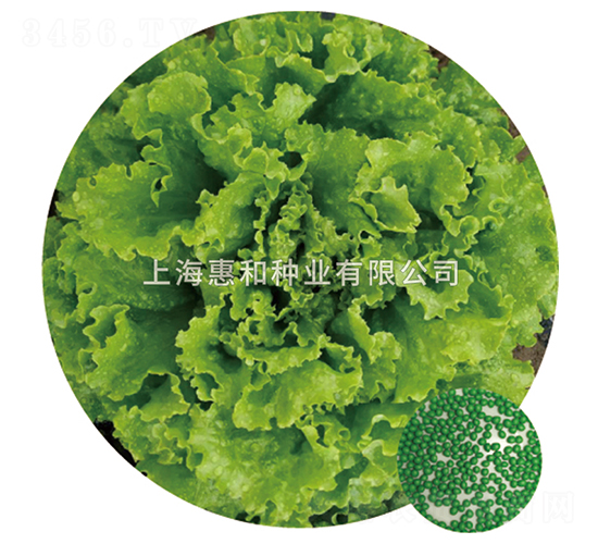 ����-���˷N��-�ݺͷN�I(y��)