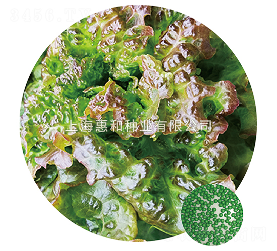 ����-���˷N��-�ݺͷN�I(y��)