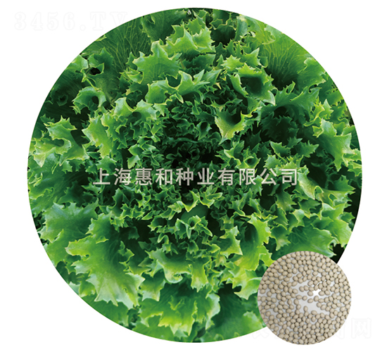 ��(y��u)��-���˷N��-�ݺͷN�I(y��)