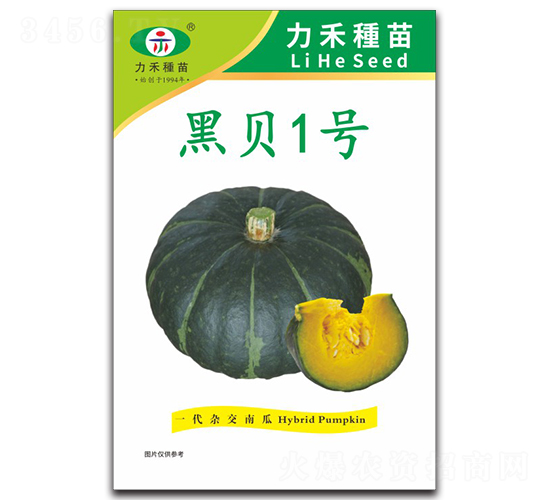 黑貝1號(hào)-南瓜種子-力禾農(nóng)業(yè)