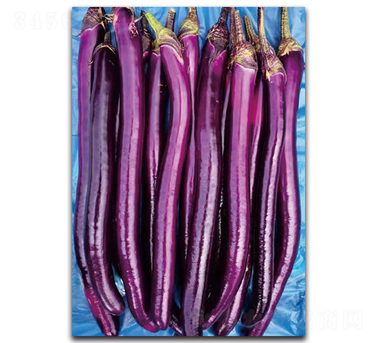 ����-���ӷN��-�������r(n��ng)�I(y��)