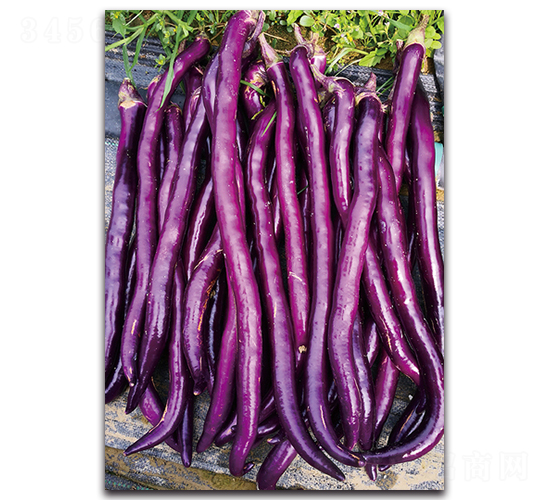 ��(y��u)��-���ӷN��-�������r�I(y��)