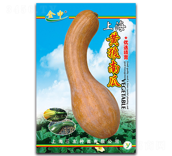 �S���Ϲ�-�ϹϷN��-����