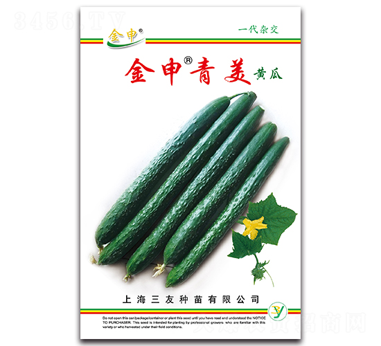 ���������S��-�S�ϷN��-����